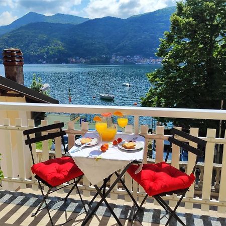 Rifugio Sul Lago Di Lugano A Porto Ceresio Eksteriør billede