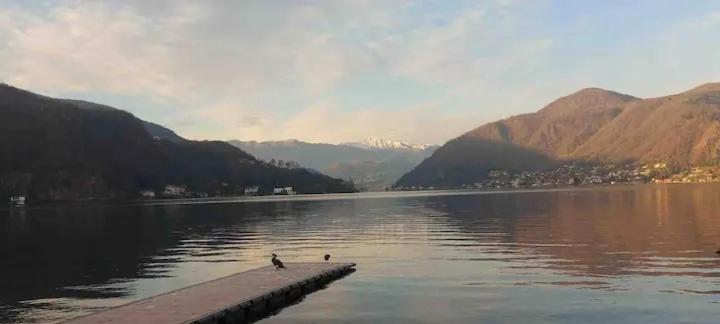 Rifugio Sul Lago Di Lugano A Porto Ceresio Eksteriør billede