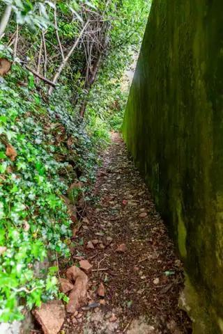 Rifugio Sul Lago Di Lugano A Porto Ceresio Eksteriør billede
