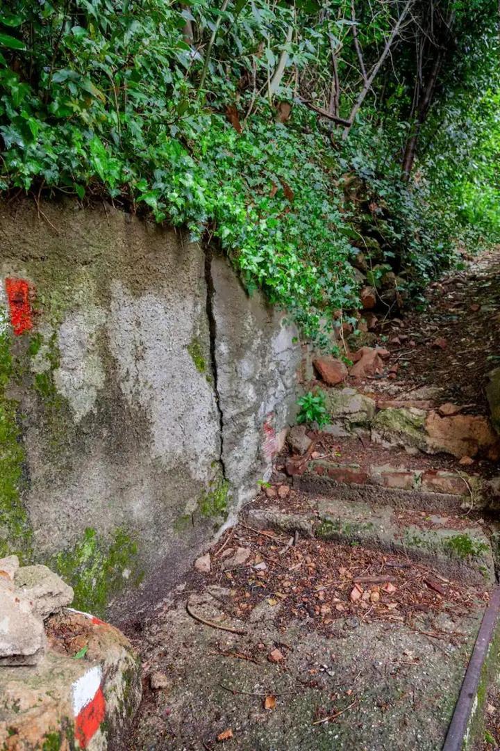 Rifugio Sul Lago Di Lugano A Porto Ceresio Eksteriør billede